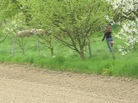 La chasse au moutons