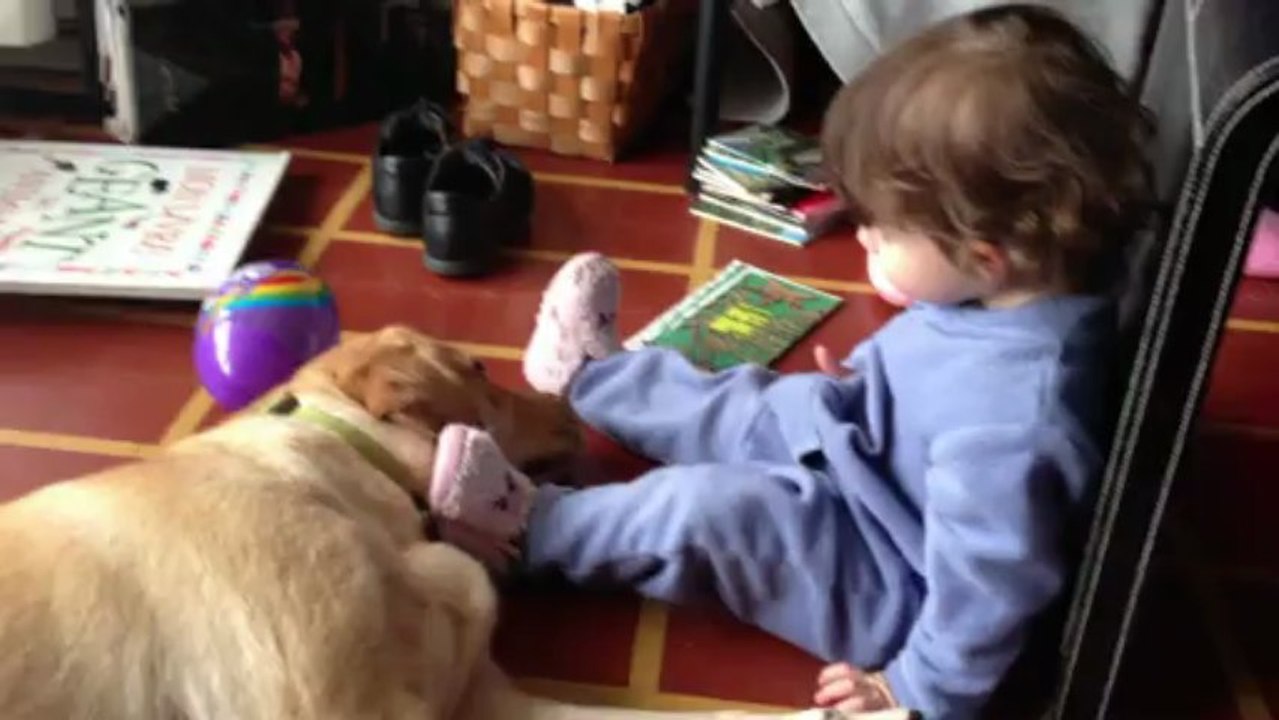 GAILLAC IMPERTURBABLE !