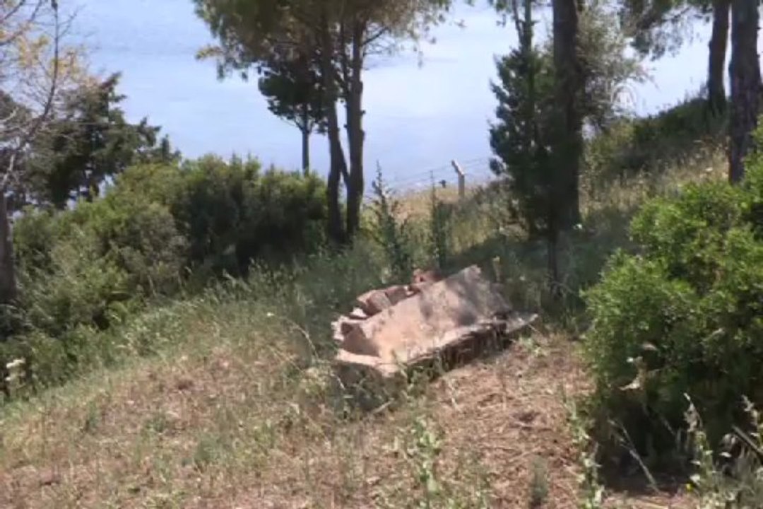 Anadolu'nun sağlığını koruyan ada