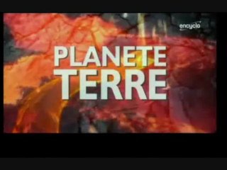 Planète Terre [ La vie sous la glace ]