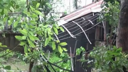 Bangladesh cleans up after killer cyclone