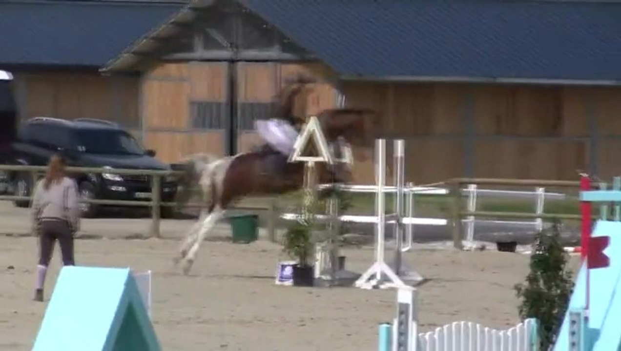 Haras des côtes - 17/06/13 - 1er Parcours avec Tirelire de Belêtre