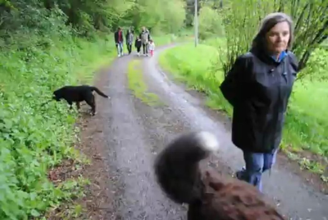 école du chiot par Frédéric ARNAULT, éducateur comportementaliste canin à Clermont et St Dier depuis 2003