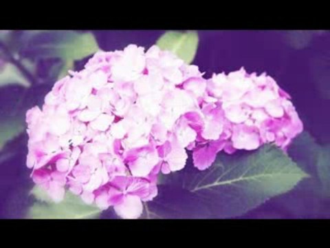 20130518 MItsui-Aika,Tasaki-Asahi