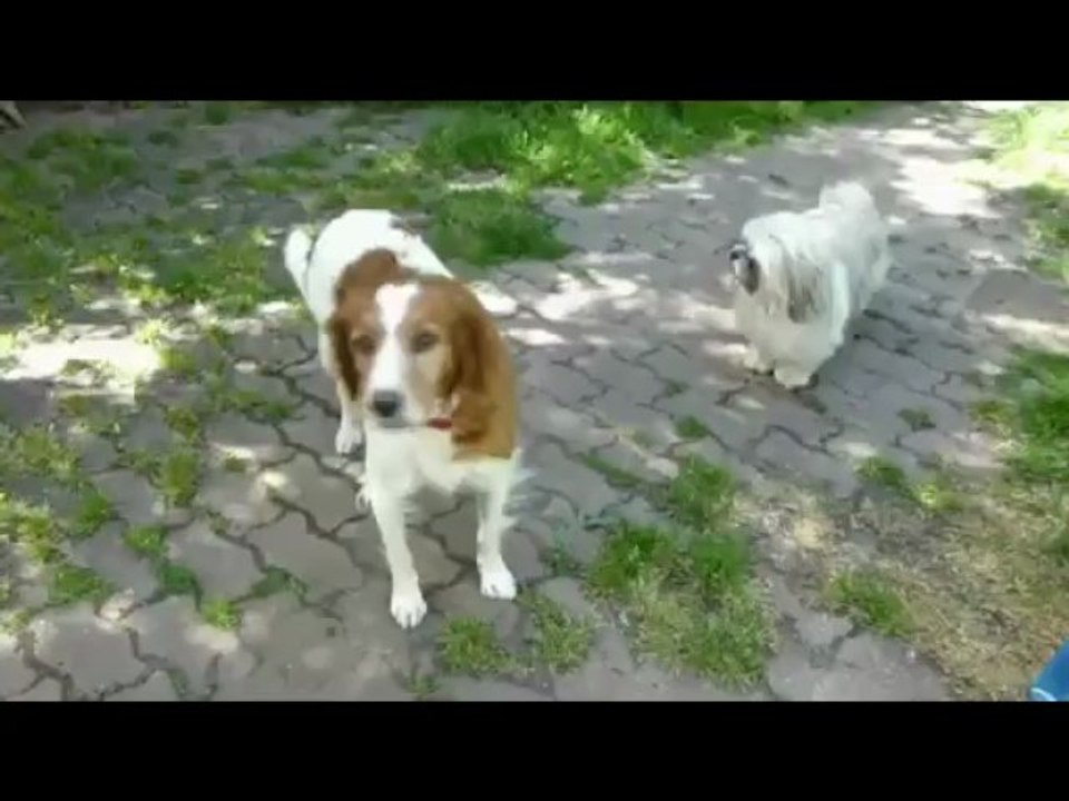 venus joue à la maman 3