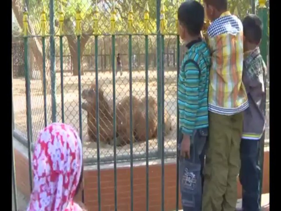 Anum Mashkoor Zoo PKG Abb Takk