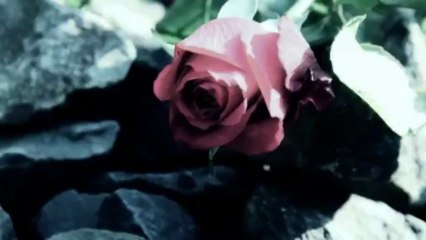 Chrom - "Loneliness" (2012)