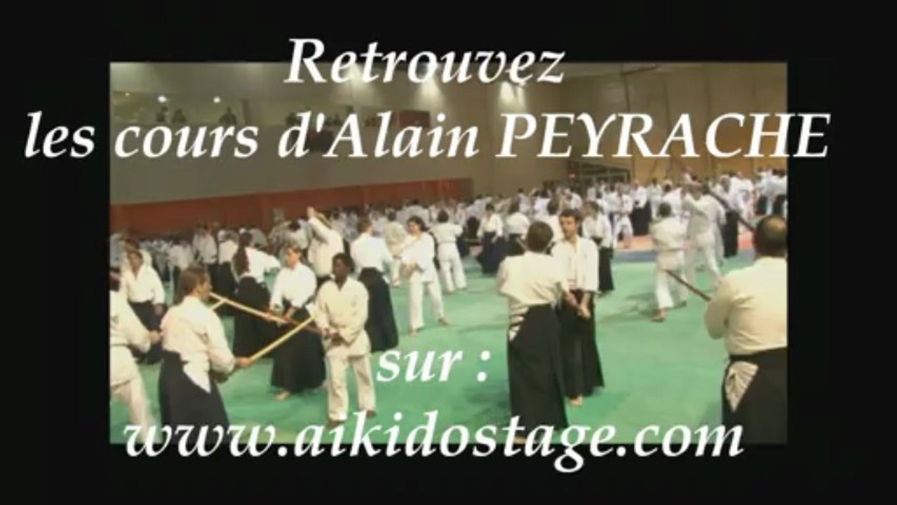 Stage d'Aïkido traditionnel avec Alain Peyrache à Soings en Sologne (41)