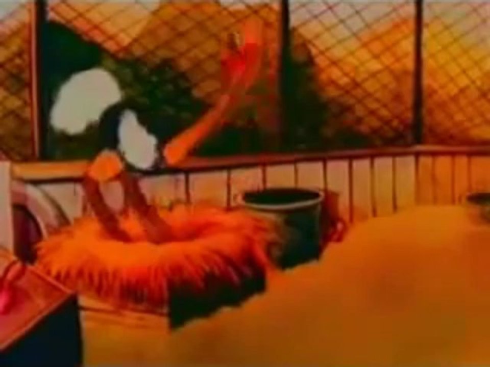 Fantasias animadas - Un dia en el Zoologico(240p_H.264-AAC)