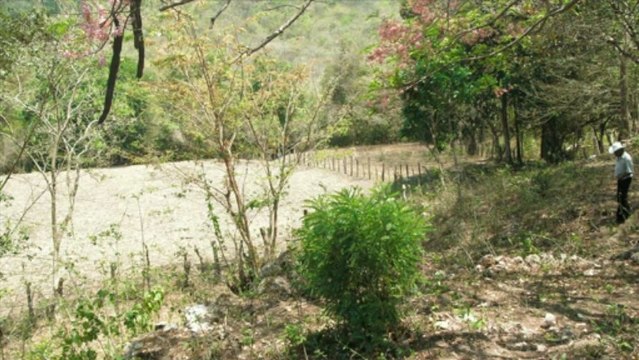VENTA DE TERRENO EN SAN JERONIMO COMAYAGUA