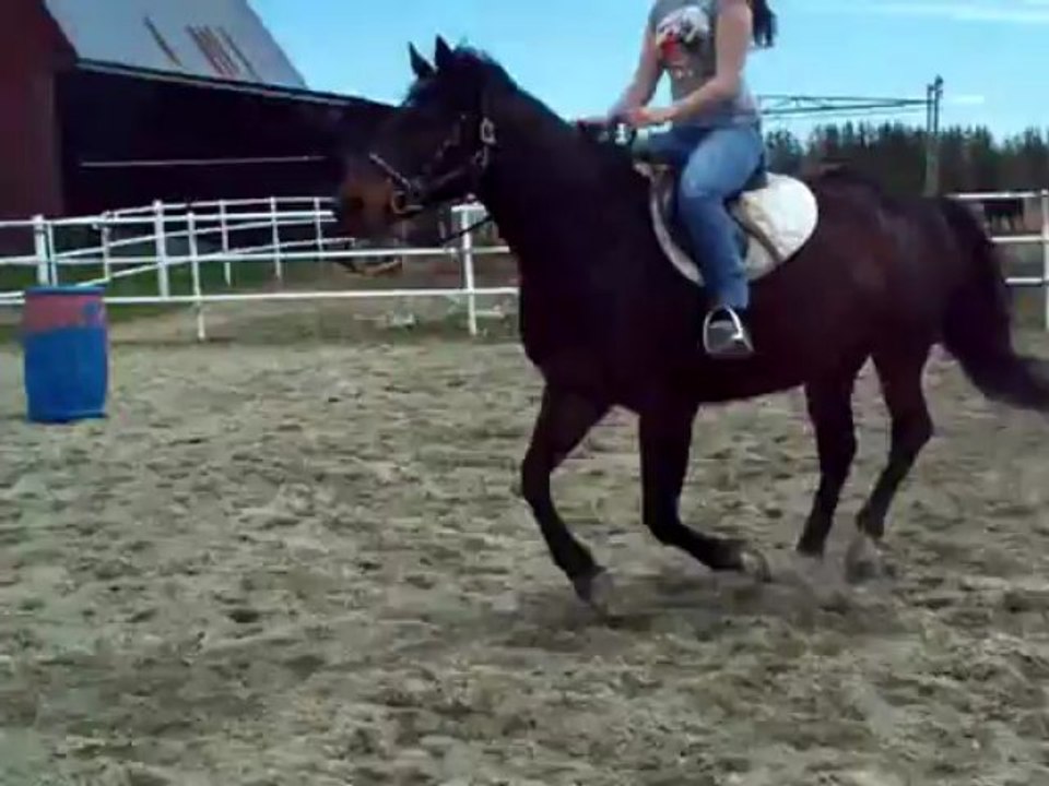 Kaly saut 18-05-13