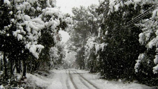 Daniel Berthiaume - Les Grands Classiques - Greensleves