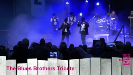 The  blues brothers tribute