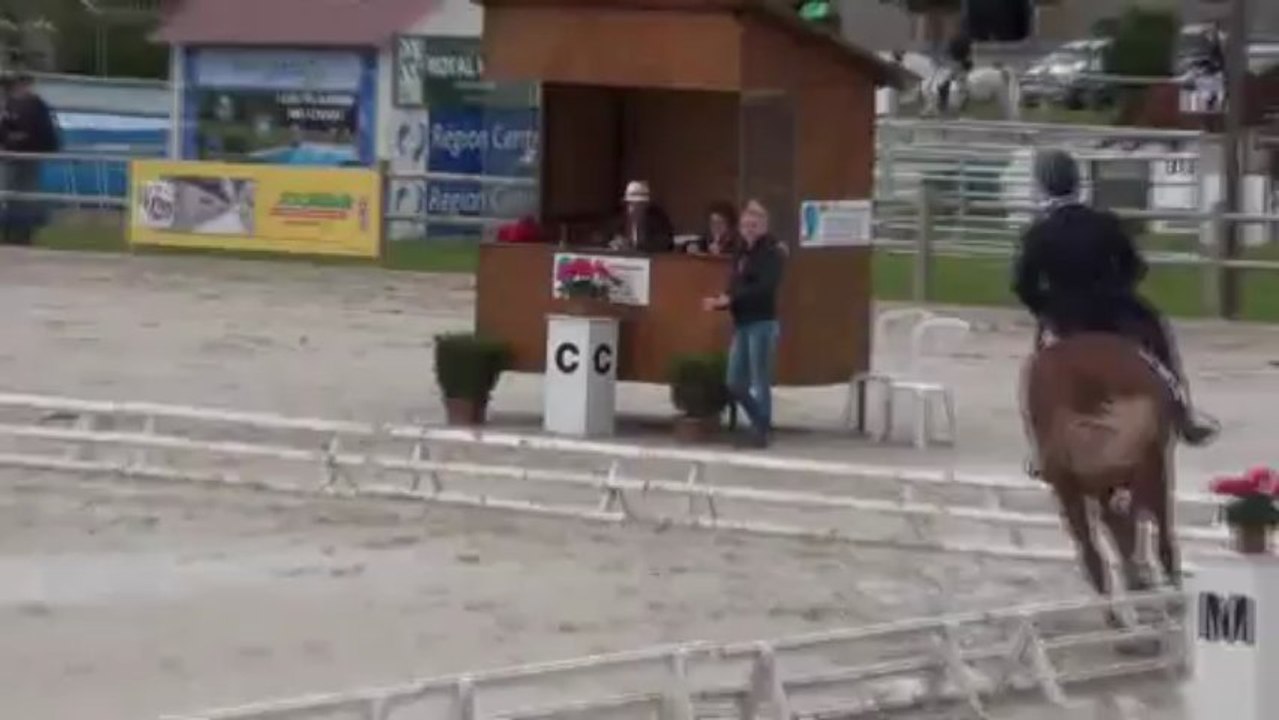 Rapsodie des Ajoncs/Bertrand Poisson - Dressage CIC* Sandillon 2013