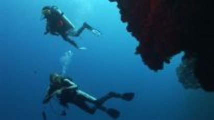 Palauinseln- die Blue Holes