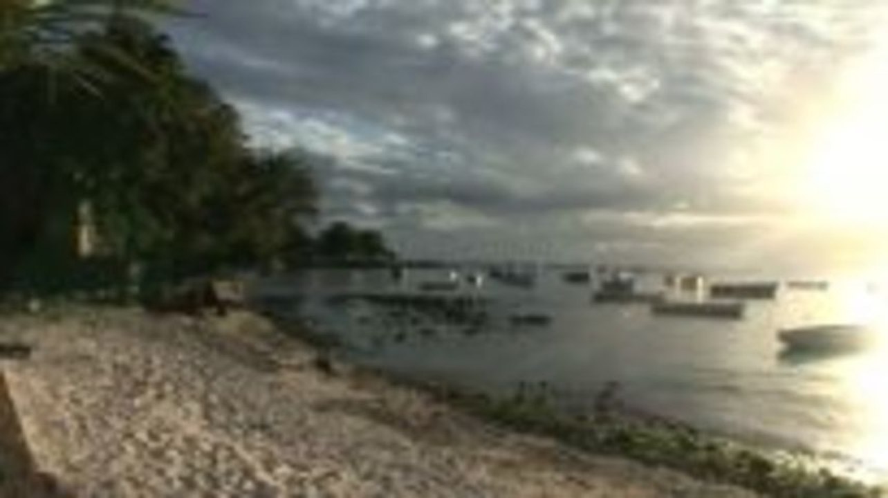 Die Unterwasserwelt von Mauritius