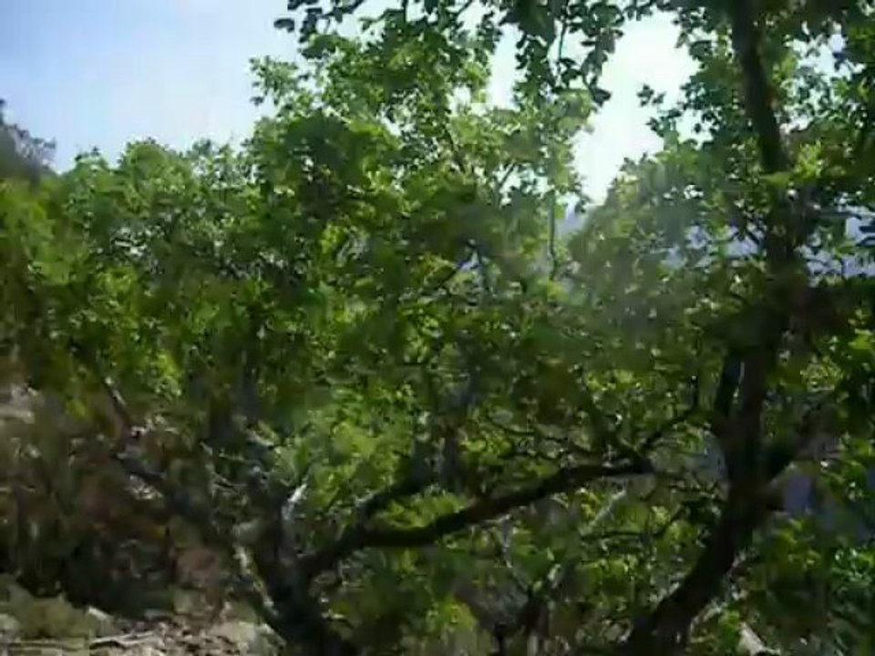 Randonnée dans le Massif du Caroux (1059 meter)  part 1