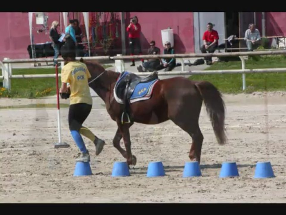 PG Strasbourg_Les Pestouiles