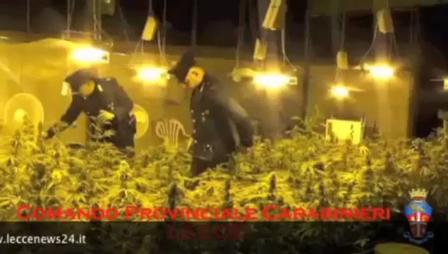 Tg 18 Maggio: leccenews24 notizie dal Salento in tempo reale