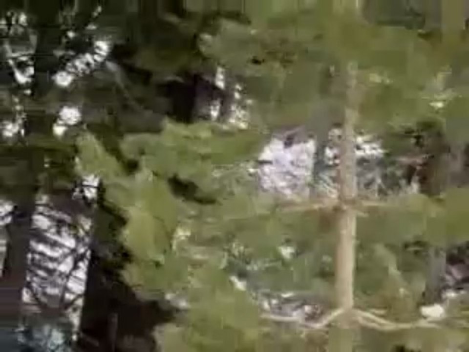 Selling On 'the River' - Learn To Sell On Amazon.com | Selling On 'the River' - Learn To Sell On Amazon.com