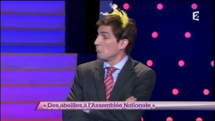 Julien Mazerie - Des abeilles à l'Assemblé Nationale