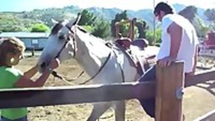 How Not To Mount A Horse