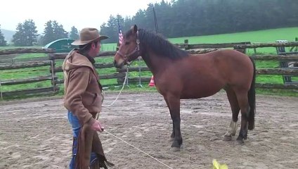 Stage éthologie par Franck Brun