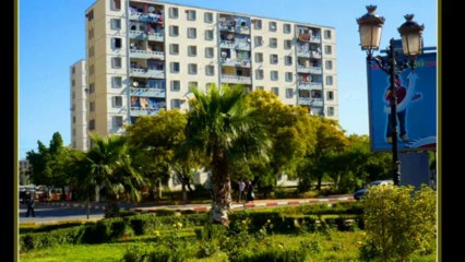HD- France, FLN : Qui a assassiné la "ville des roses" ? Regardez !