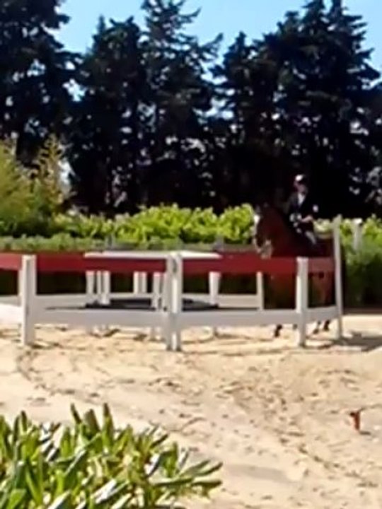 Equitation de travail Maniabilité