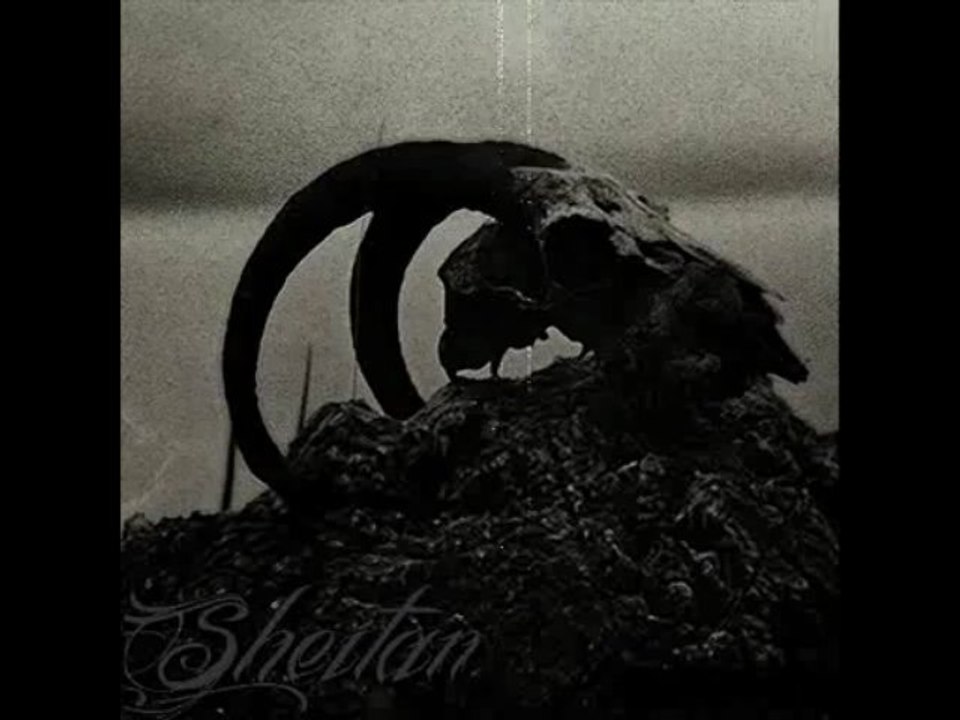 Sheitan Darkside ( hardcore beatdown )