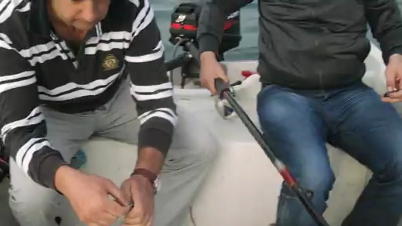 balık2
