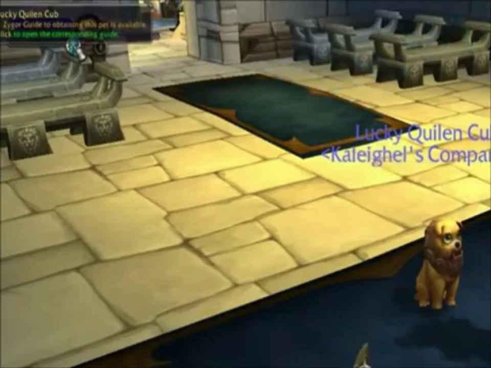 Zygor Guides free download - World of warcraft leveling guide