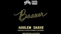 Baauer - Harlem Shake (Frejaville Julien Extended Club Remix)