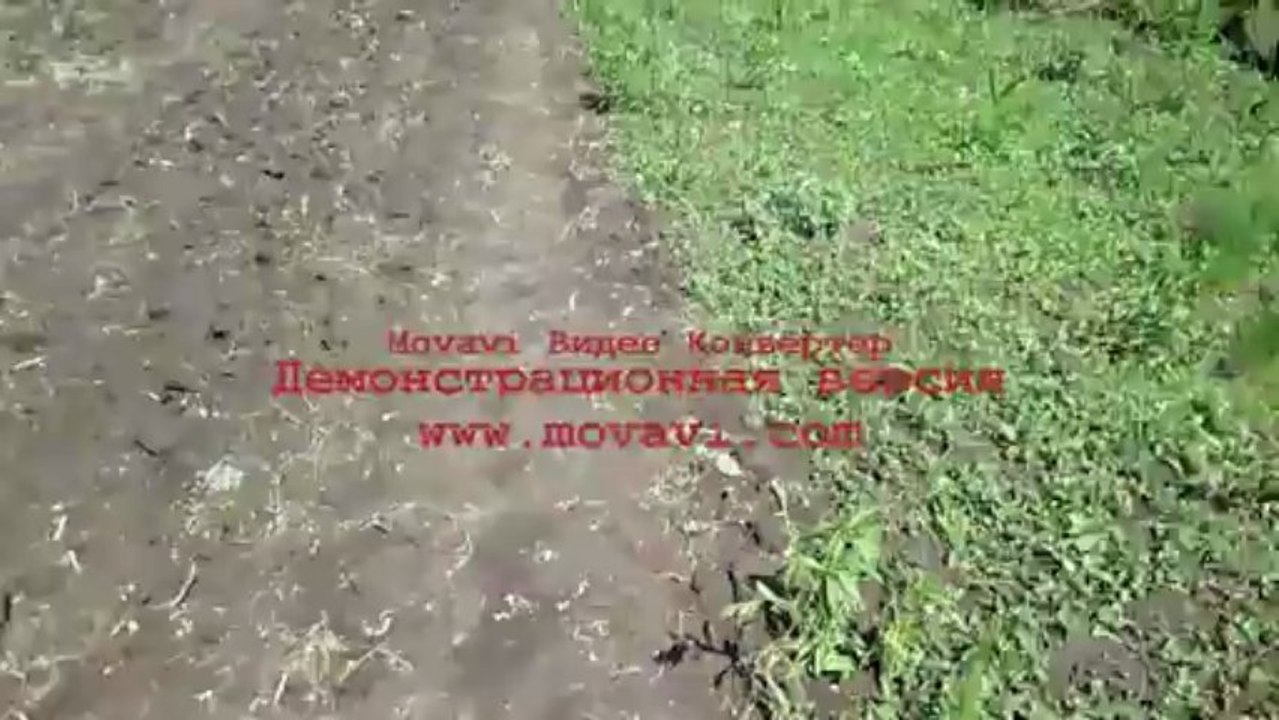 MVI_0187