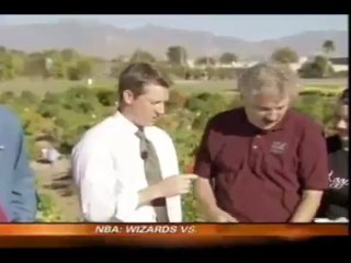 Rob stone vs. Nmsus chile peppers