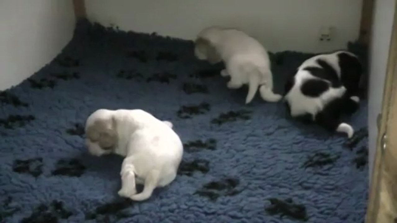 on apprend à se tenir debout