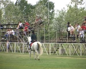 K23TV - Zemlja igračaka - Prvomajska gala Lipicanera - 19. maj 2013.