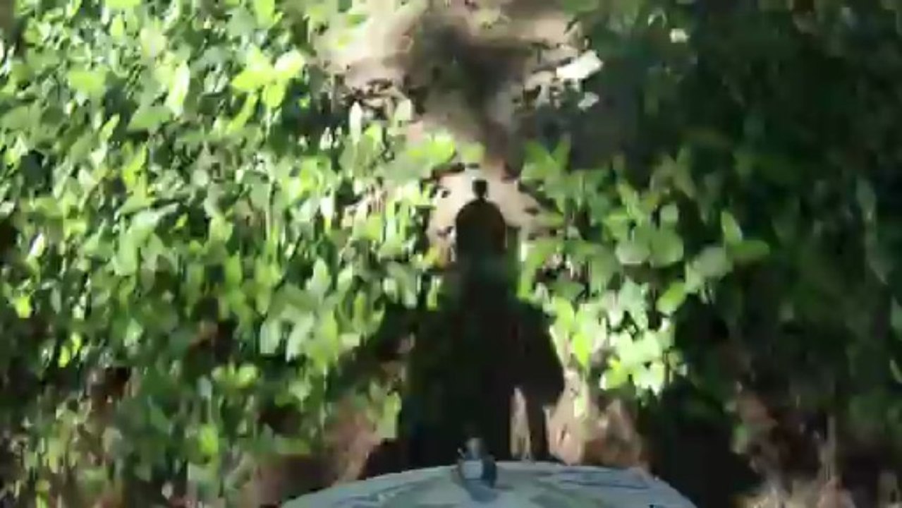 vtt liausson