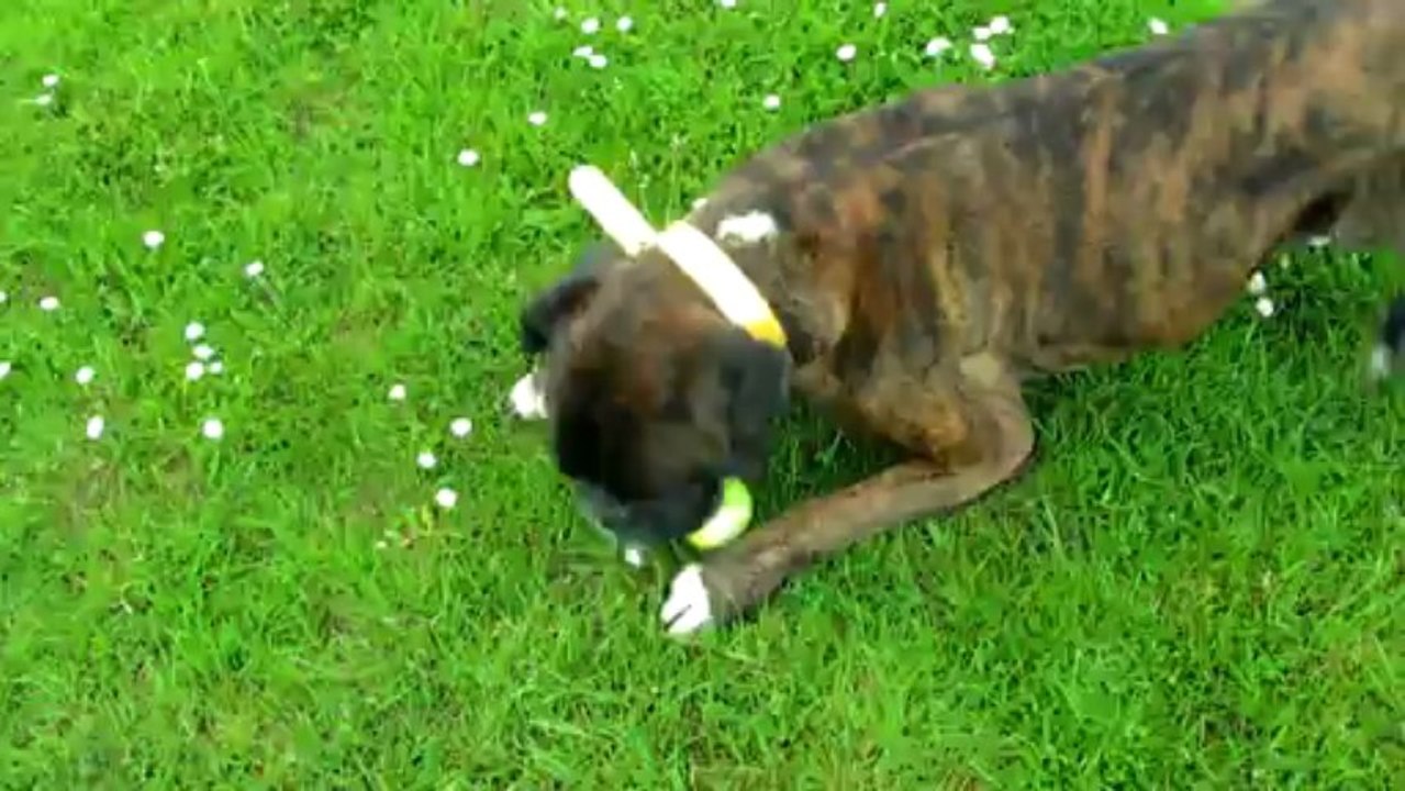 Notre jeu de balles à nous ! 19 mai 2013