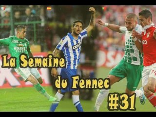 Semaine Du Fennec # 31