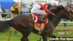 Oxbow Takes Preakness, Triple Crown Drought Continues