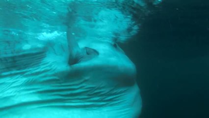 Tauchen mit dem Mondfisch