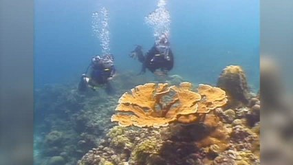 SSI Open Water Teil 1 Part 4