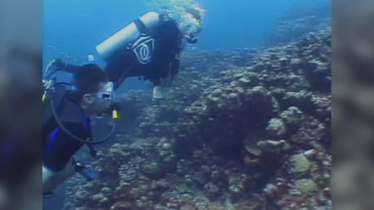 SSI Open Water Teil 3 Part 4