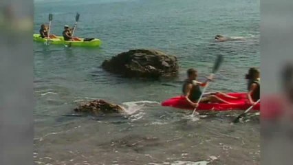 SSI Open Water Teil 6 Part 1