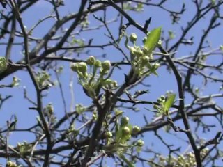 Дачные советы от Марии Яковлевны