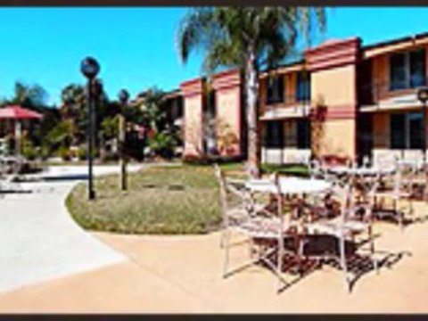 quality inn & suites walt disney world