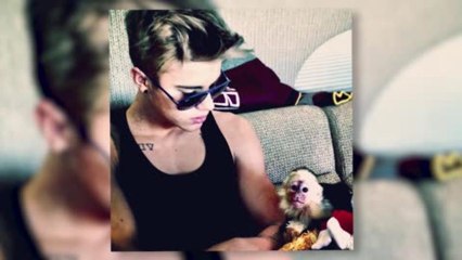 Justin Bieber reçoit une amende salée pour son singe