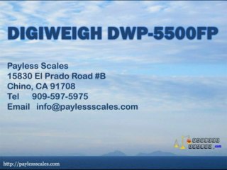 FLOOR SCALE - DIGIWEIGH DWP-5500FP 4' X 4'