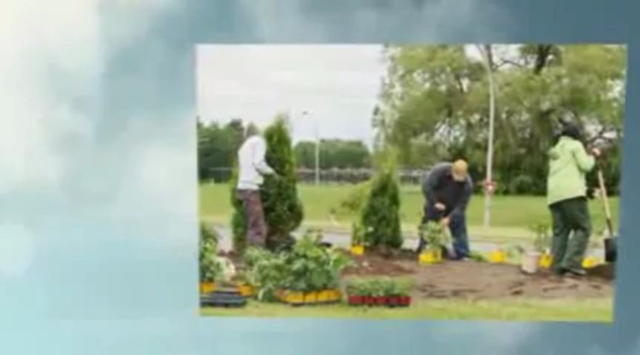 Toronto Landscaping Companies Call now (416 ) 881-8654 - YouTube